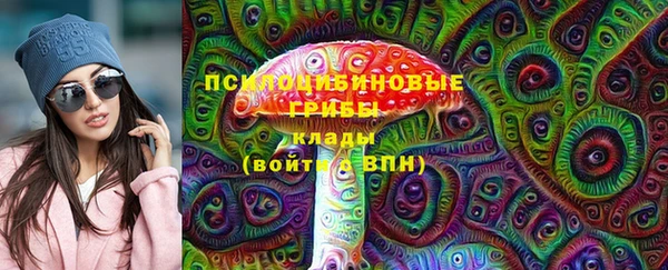 тгк Алексин