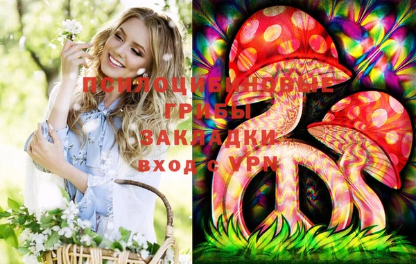 тгк Алексин