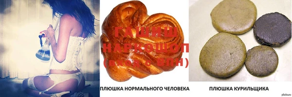 хмурый Алзамай