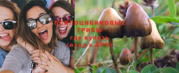 хмурый Алзамай