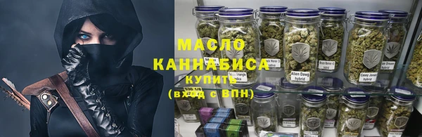 хмурый Алзамай