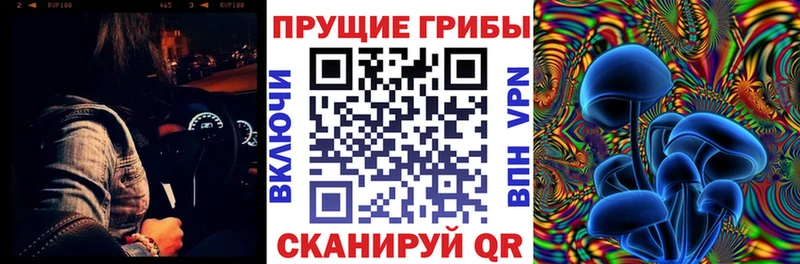 где найти наркотики Махачкала Галлюциногенные грибы ЛСД