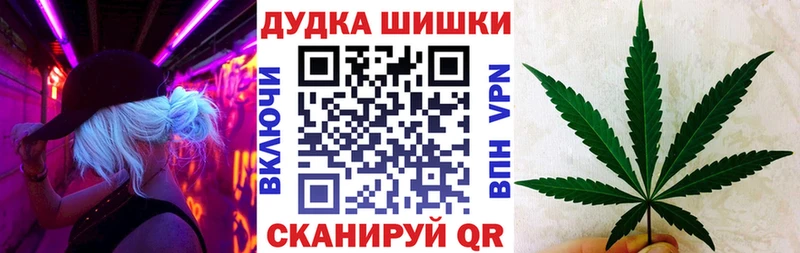 Бошки Шишки SATIVA & INDICA  купить наркоту  Махачкала 